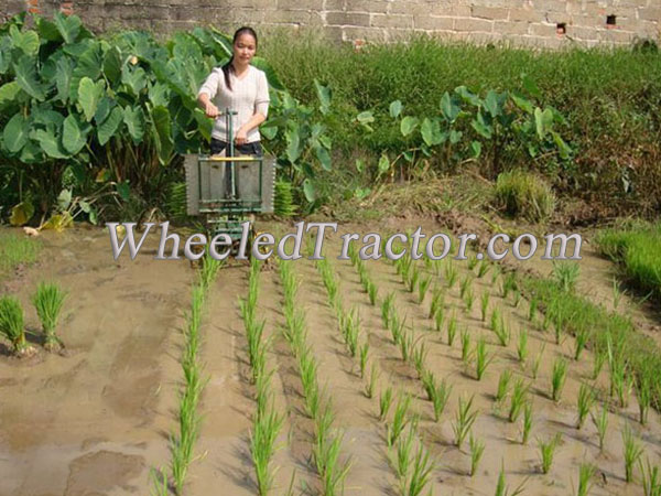 Manual Rice Transplanter For 2 Rows, 3 Rows, 4 Rows